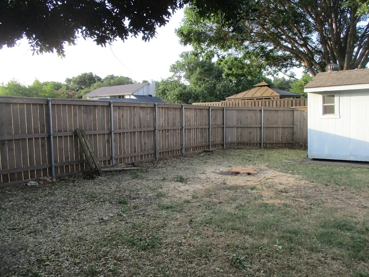 Cleared yard after professional tree removal in Magnolia